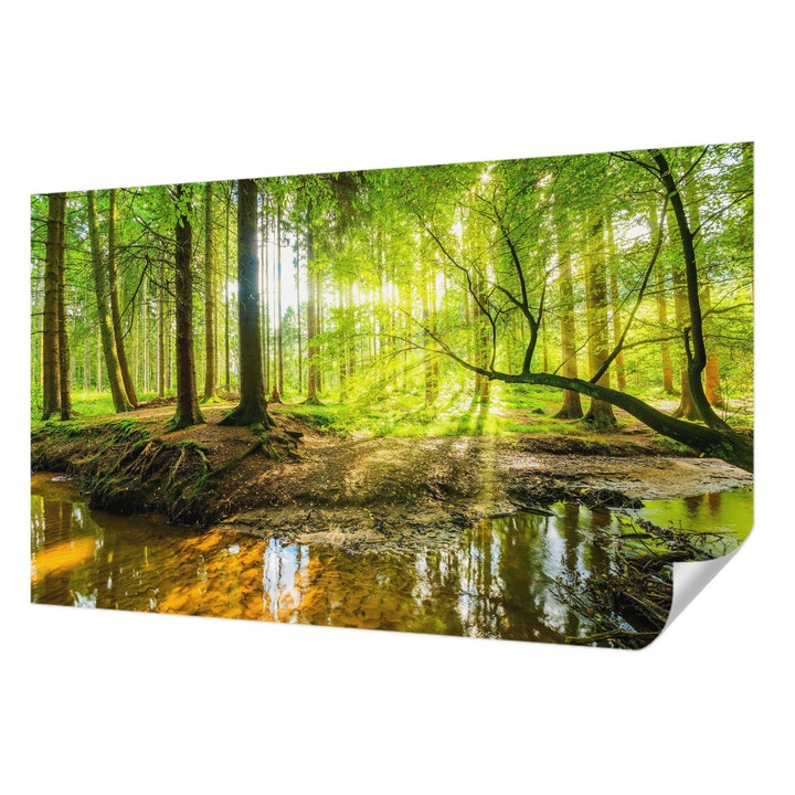 Öntapadós Fotótapéta Falra, Wallfluent, Zöld táj, Zöld, 416 x 254 cm, Könnyen Tisztítható, Nedvességálló, 010170060070000007693