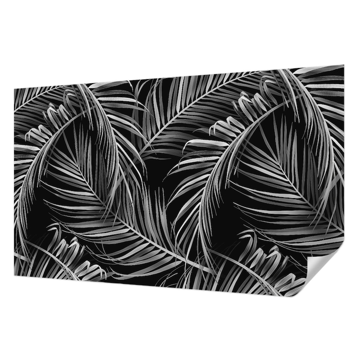 Öntapadós Tapéta Fali Dekoráció, Wallfluent, Egzotikus minta, Fekete, 416 x 254 cm, Nappaliba, Konyhába, 010170060070000011082