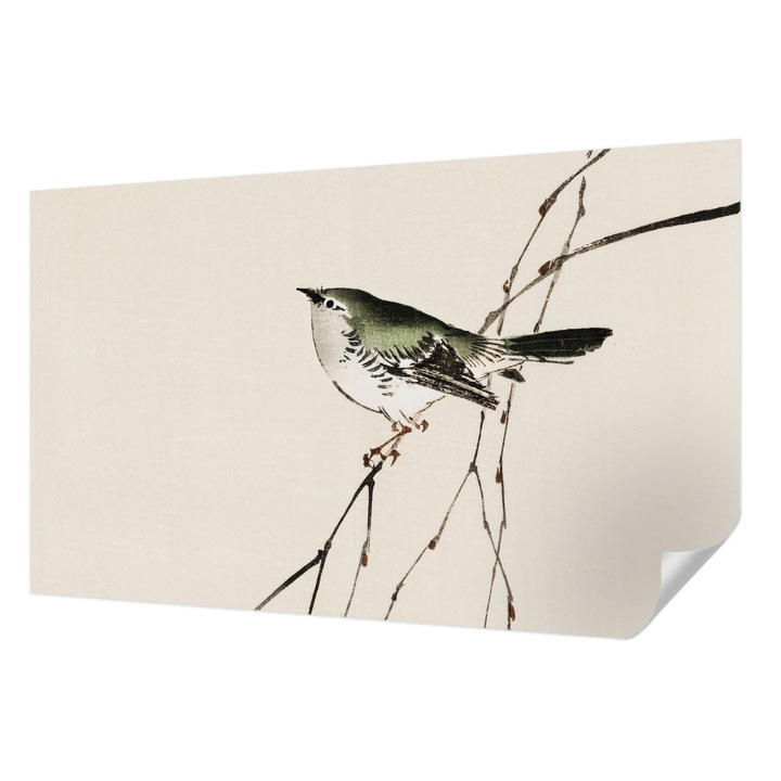 Öntapadós Tapéta Falra, Wallfluent, Harmonikus madár, Fehér, 416 x 254 cm, Nappaliba, Konyhába, 010170060070000017906