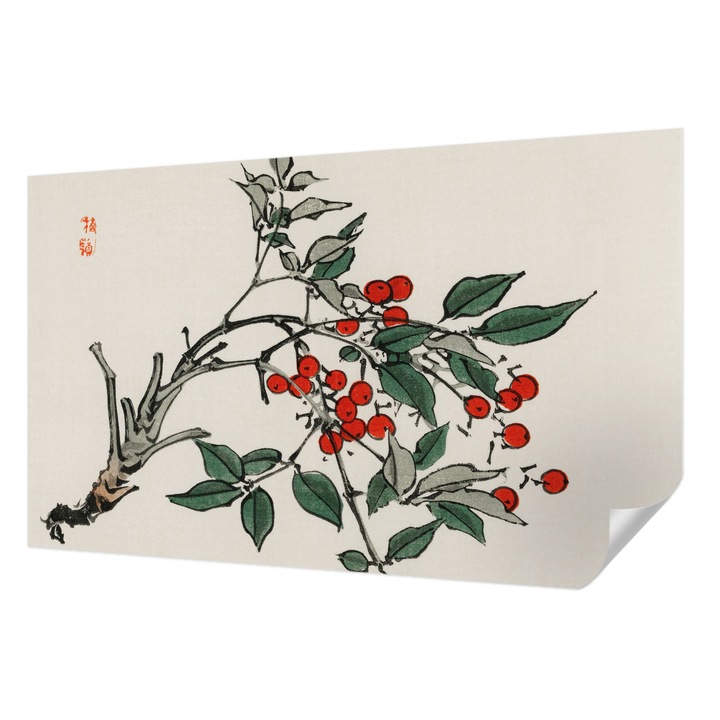 Öntapadós Tapéta Falra, Wallfluent, Egy szál bogyó, Fekete, 416 x 254 cm, Előszobába, Hálószobába, 010170060070000017919