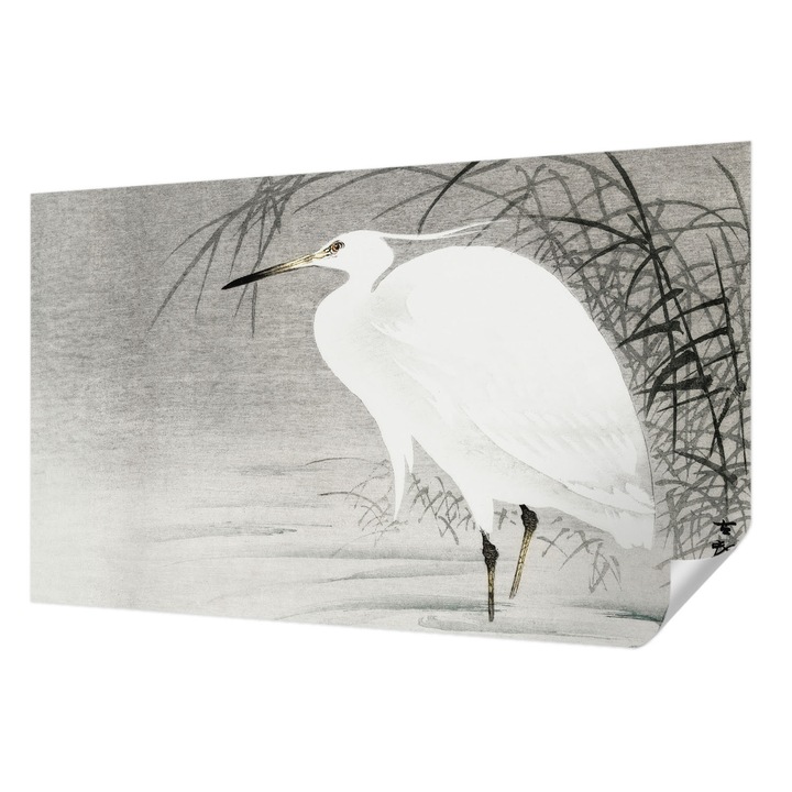 Öntapadós Fotótapéta Falra, Wallfluent, Vízi táj, Fehér, 416 x 254 cm, Könnyen Tisztítható, Nedvességálló, 010170060070000017886