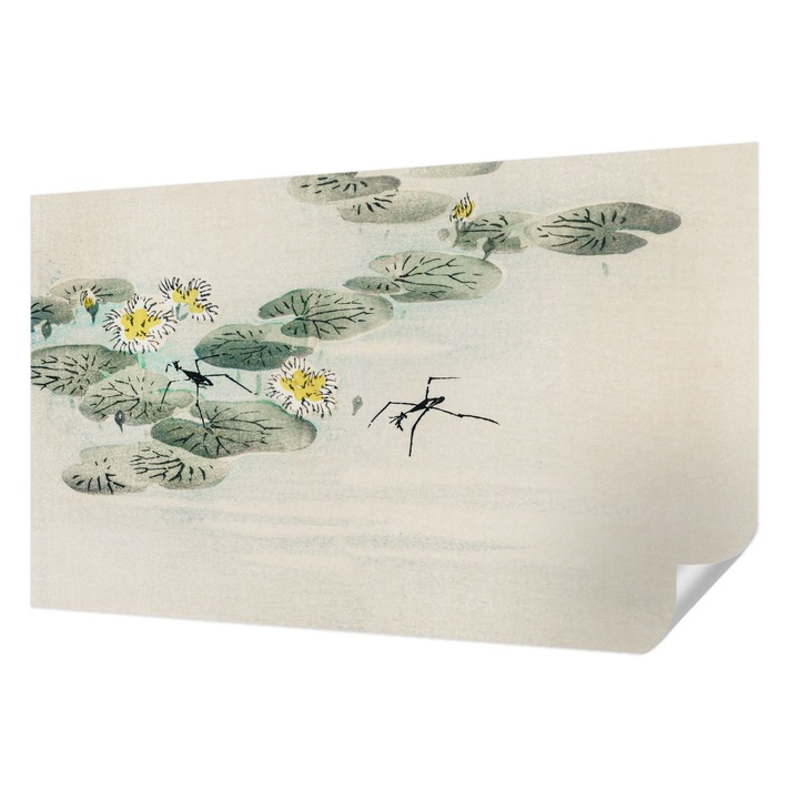 Öntapadós Fotótapéta Falra, Wallfluent, Nyugodt víz, Fehér, 416 x 254 cm, Fali Dekoráció, Nedvesség- És Foltálló, 010170060070000017916