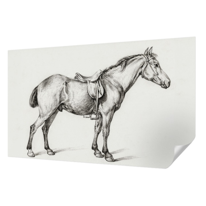 Öntapadós Dekor Tapéta, Wallfluent, Vázlat egy lóról, Fekete és fehér, 416 x 254 cm, Könnyen Tisztítható, Nedvességálló, 010170060070000018050