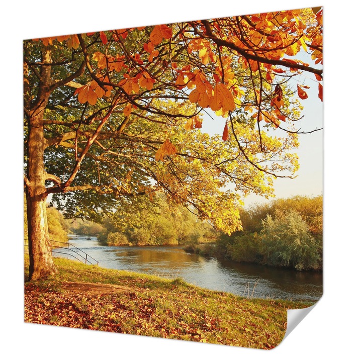 Öntapadós Fotótapéta Falra, Wallfluent, Tengerparti ősz, Sárga, 250 x 250 cm, Erős Ragasztó, Modern Belsőépítészeti Dekoráció, 010170060030000001146