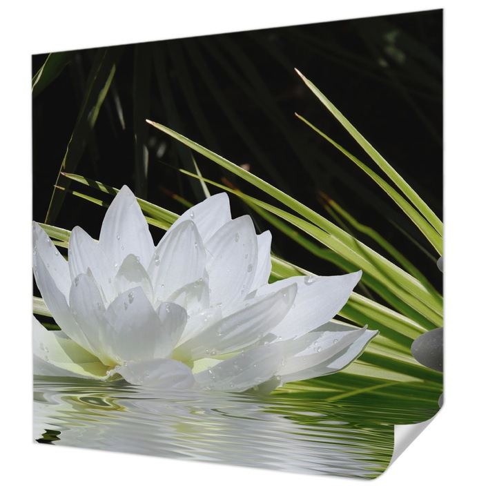 Öntapadós Tapéta Falra, Wallfluent, Liliom meditáció, Fehér, 250 x 250 cm, Modern Dizájn, Könnyen Felszerelhető És Tisztítható, 010170060030000002010