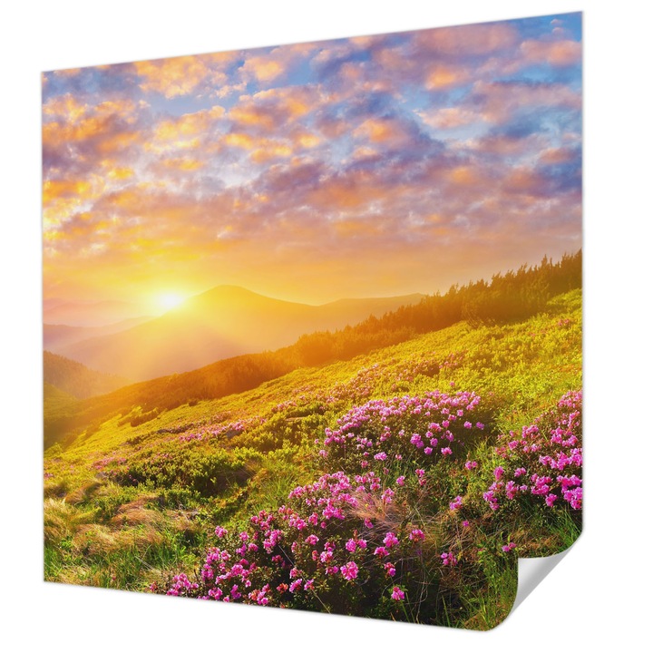 Öntapadós Tapéta Fali Dekoráció, Wallfluent, Hegyi Nyugat, Zöld, 250 x 250 cm, Dekoráció, Falra, 010170060030000007189