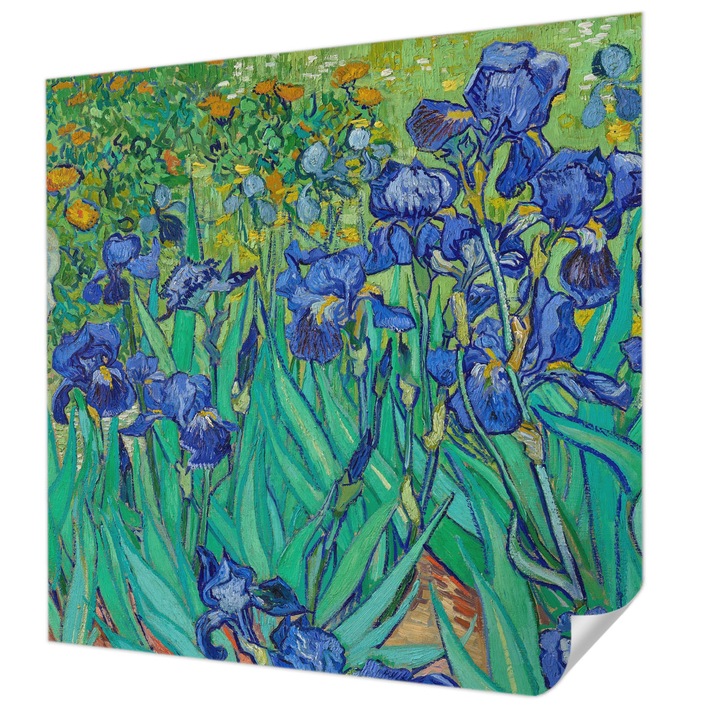 Öntapadós Tapéta Fali Dekoráció, Wallfluent, Kerti virágok, Kék, 250 x 250 cm, Könnyen Tisztítható, Nedvességálló, 010170060030000010617