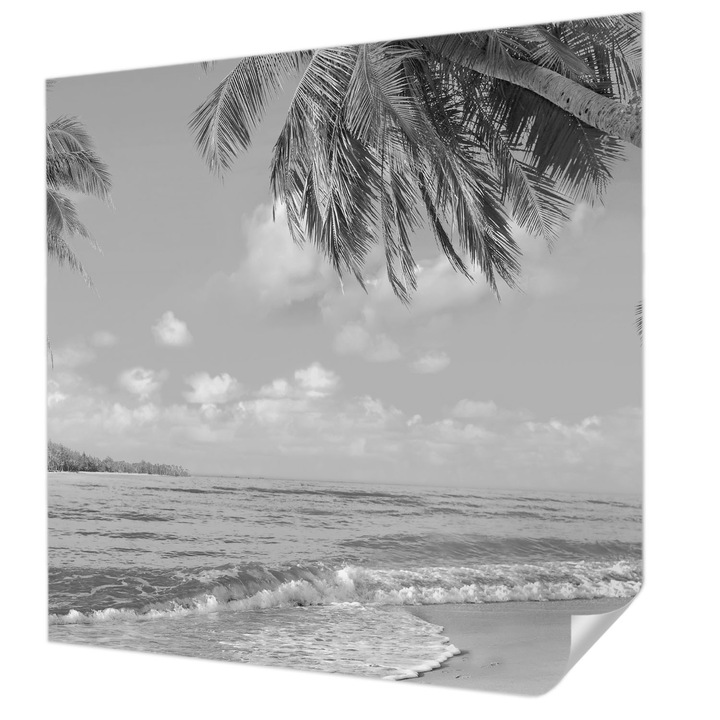 Öntapadós Dekor Tapéta, Wallfluent, Trópusi paradicsom, Fekete és fehér, 250 x 250 cm, Fali Dekoráció, Nedvesség- És Foltálló, 010170060030000034691