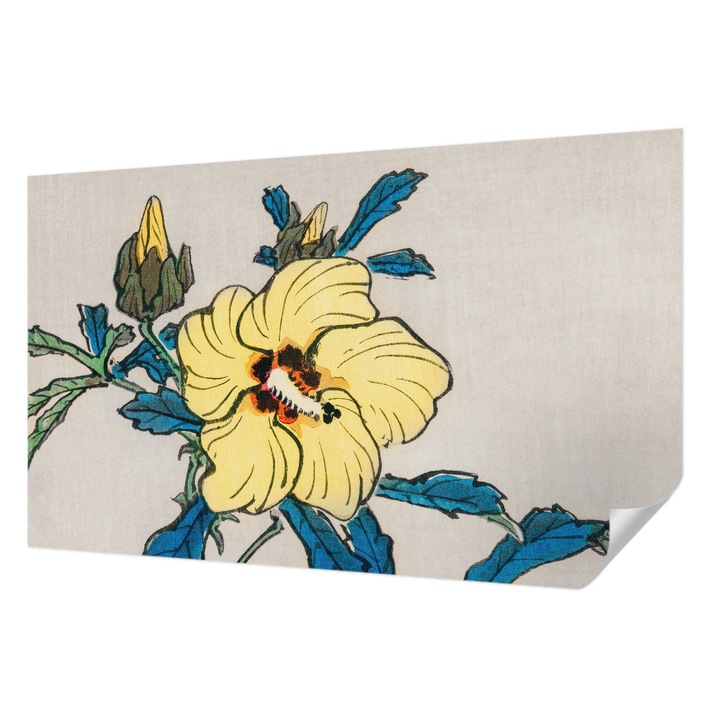 Öntapadós Fotótapéta Falra, Wallfluent, Sárga virág, Sárga, 416 x 254 cm, Erős Ragasztó, Modern Belsőépítészeti Dekoráció, 010170060070000017946