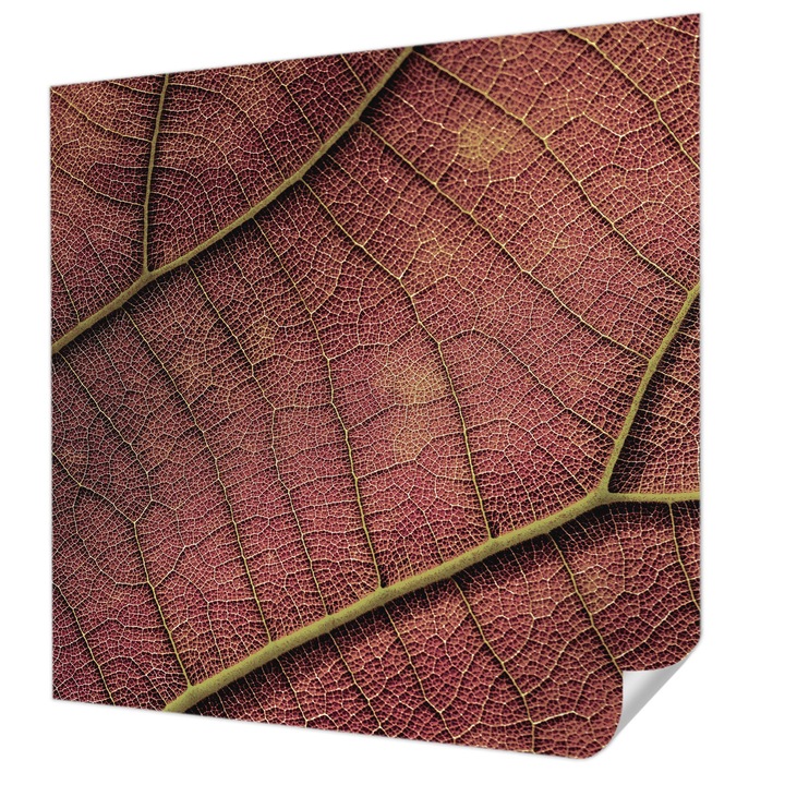 Öntapadós Fotótapéta Falra, Wallfluent, Leveles textúra, Barna, 250 x 250 cm, Könnyen Tisztítható, Nedvességálló, 010170060030000282597