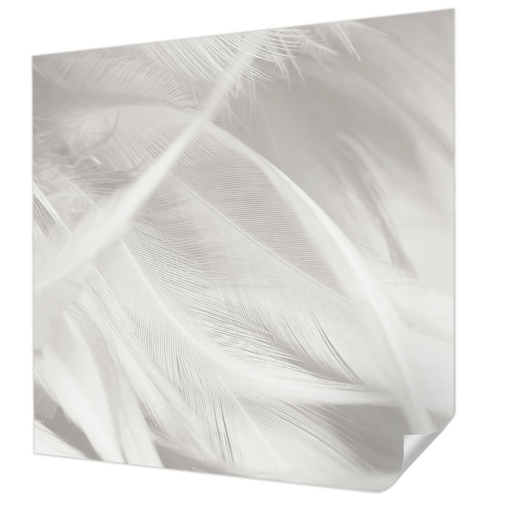 Öntapadós Tapéta Fali Dekoráció, Wallfluent, Finom tollak, Fehér, 250 x 250 cm, Előszobába, Hálószobába, 010170060030000282655