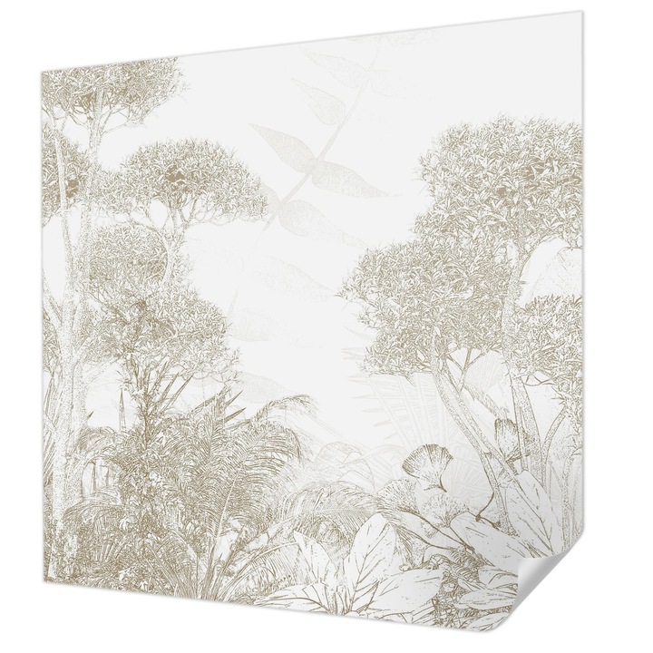 Öntapadós Fotótapéta Falra, Wallfluent, Trópusi növényzet, Fehér, 250 x 250 cm, Nappaliba, Konyhába, 010170060030000282762