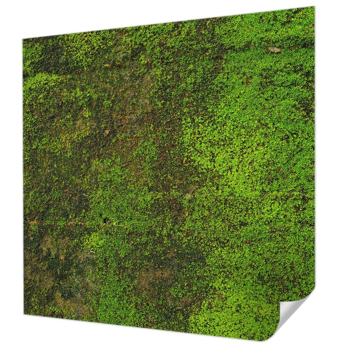 Öntapadós Fotótapéta Falra, Wallfluent, Zöld szőnyeg, Zöld, 250 x 250 cm, Fali Dekoráció, Nedvesség- És Foltálló, 010170060030000282897