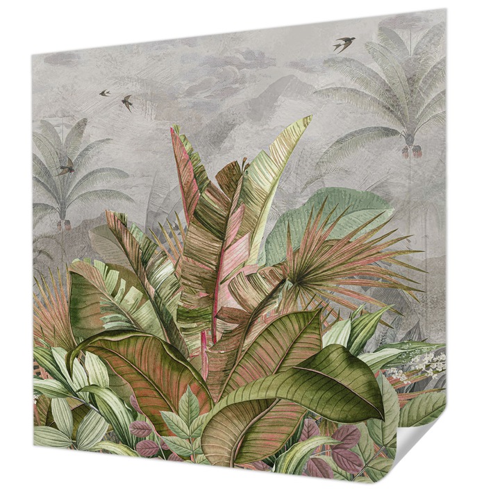 Öntapadós Fotótapéta Falra, Wallfluent, Egzotikus dzsungel, Szürke, 250 x 250 cm, Dekoráció, Erős Ragasztó, 010170060030000282760