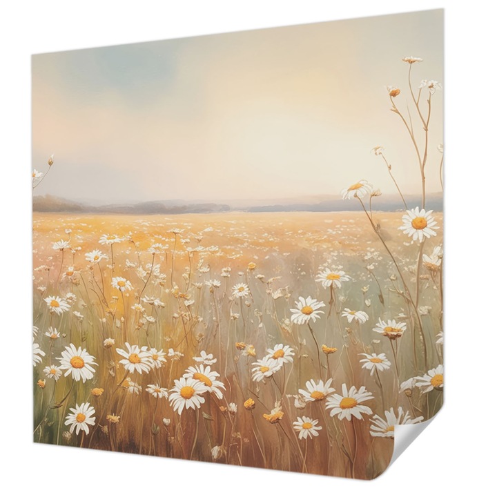 Öntapadós Tapéta Fali Dekoráció, Wallfluent, Virágos rét, Fehér, 250 x 250 cm, Modern Dizájn, Nedvesség- És Foltálló, 010170060030000284717