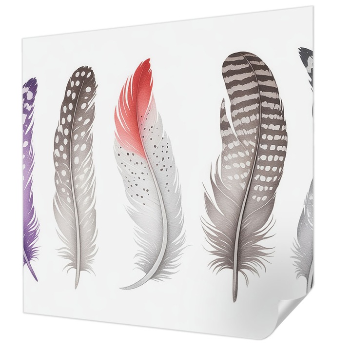 Öntapadós Fotótapéta Falra, Wallfluent, Mintás tollak, Lila, 250 x 250 cm, Erős Ragasztó, Modern Belsőépítészeti Dekoráció, 010170060030000284800