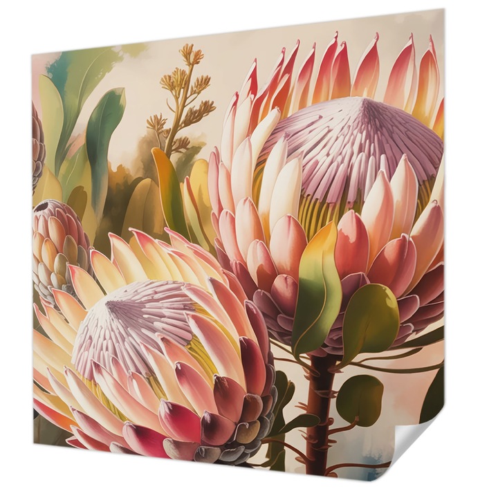 Öntapadós Dekor Tapéta, Wallfluent, Protea virágok, Rózsaszín, 250 x 250 cm, Előszobába, Hálószobába, 010170060030000284812