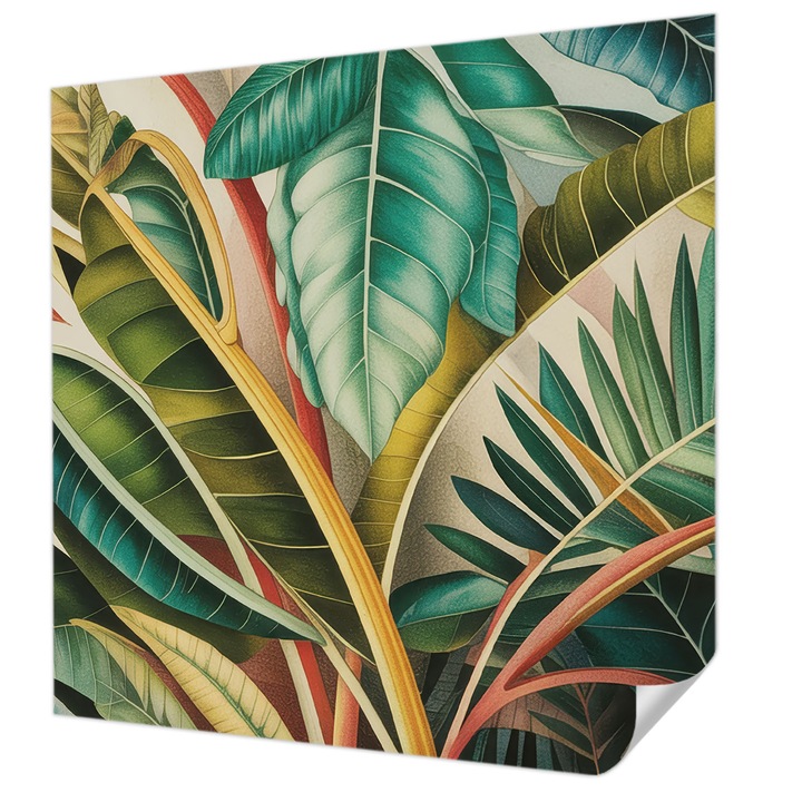 Öntapadós Tapéta Fali Dekoráció, Wallfluent, Egzotikus levelek, Zöld, 250 x 250 cm, Dekoráció, Falra, 010170060030000284850