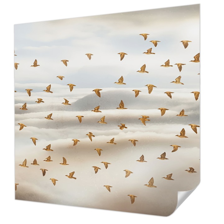 Öntapadós Fotótapéta Falra, Wallfluent, Madarak repülés közben, Bézs, 250 x 250 cm, Fali Dekoráció, Nedvesség- És Foltálló, 010170060030000284830