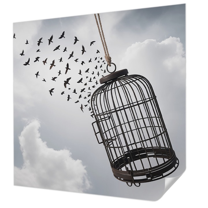 Öntapadós Tapéta Fali Dekoráció, Wallfluent, Repülő madarak, Fehér, 250 x 250 cm, Modern Dizájn, Nedvesség- És Foltálló, 010170060030000284881