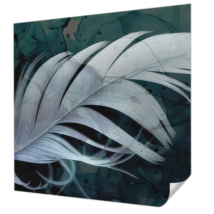 Öntapadós Tapéta Fali Dekoráció, Wallfluent, Éteri toll, Fehér, 250 x 250 cm, Előszobába, Hálószobába, 010170060030000284887