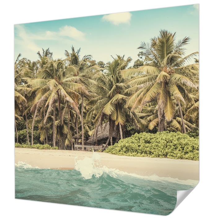 Öntapadós Tapéta Falra, Wallfluent, Trópusi strand, Zöld, 250 x 250 cm, Erős Ragasztó, Modern Belsőépítészeti Dekoráció, 010170060030000284890