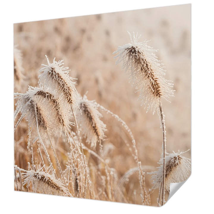 Öntapadós Tapéta Falra, Wallfluent, Téli táj, Fehér, 250 x 250 cm, Nappaliba, Konyhába, 010170060030000284895