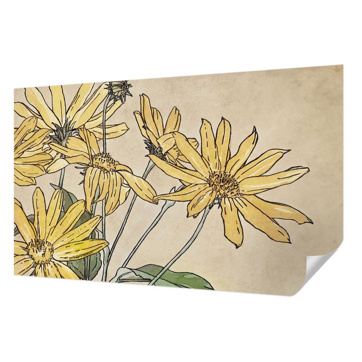 Öntapadós Tapéta Fali Dekoráció, Wallfluent, Akvarell virágok, Fehér, 416 x 254 cm, Dekoráció, Falra, 010170060070000031710