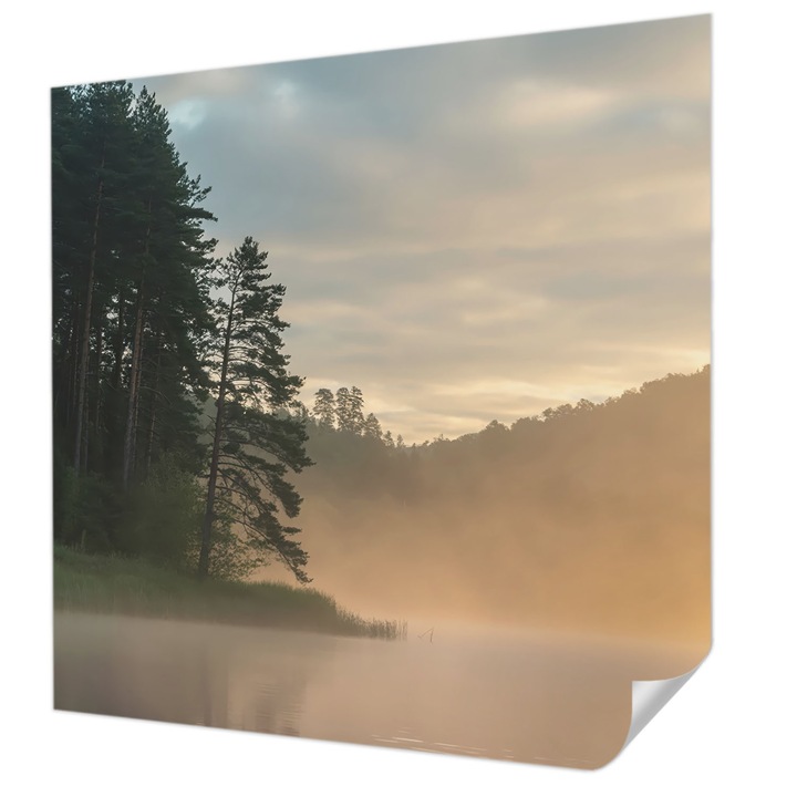 Öntapadós Dekor Tapéta, Wallfluent, Ködös reggel, Zöld, 250 x 250 cm, Könnyen Tisztítható, Nedvességálló, 010170060030000284932