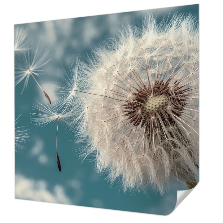 Öntapadós Tapéta Fali Dekoráció, Wallfluent, Enyhe éteriség, Fehér, 250 x 250 cm, Modern Dizájn, Könnyen Felszerelhető És Tisztítható, 010170060030000284940