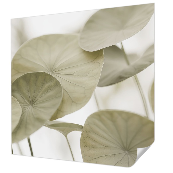 Öntapadós Dekor Tapéta, Wallfluent, Természetes elegancia, Bézs, 250 x 250 cm, Modern Dizájn, Könnyen Felszerelhető És Tisztítható, 010170060030000284994