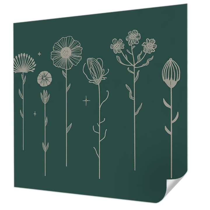 Öntapadós Fotótapéta Falra, Wallfluent, Finom virágok, Zöld, 250 x 250 cm, Fali Dekoráció, Nedvesség- És Foltálló, 010170060030000284987