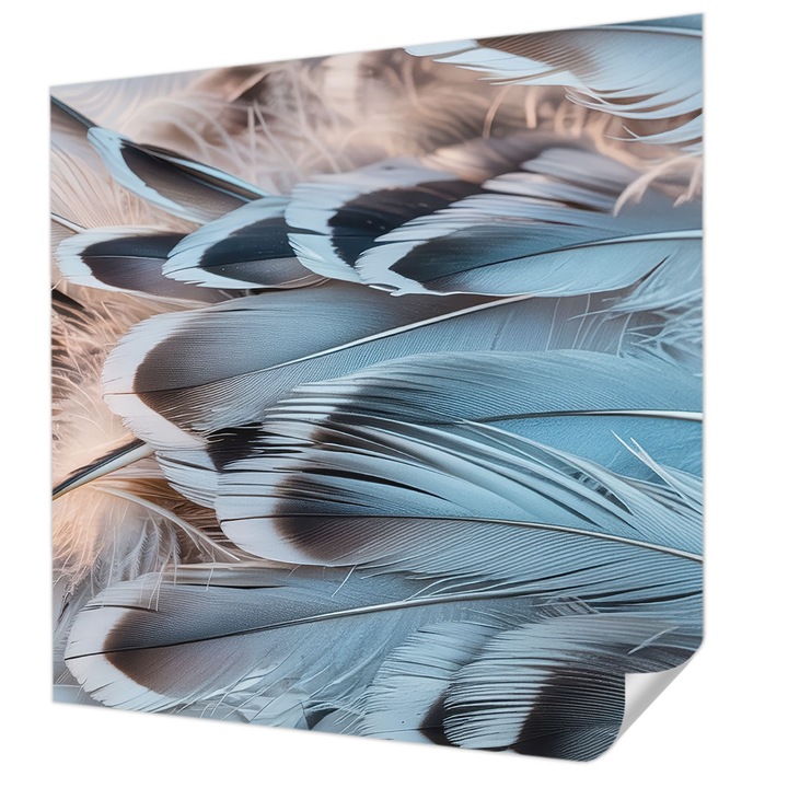 Öntapadós Dekor Tapéta, Wallfluent, Kék tollak, Fehér, 250 x 250 cm, Dekoráció, Falra, 010170060030000285067