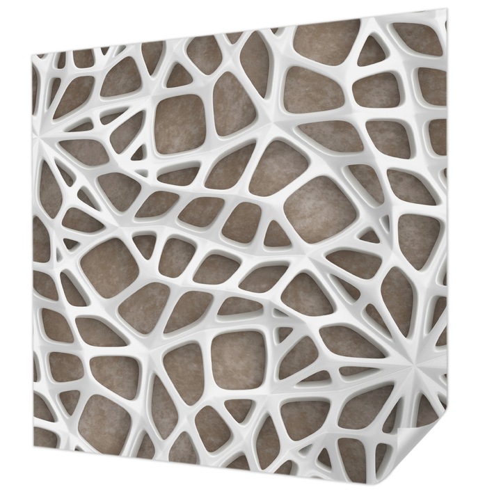 Öntapadós Tapéta Fali Dekoráció, Wallfluent, Csipkeháló, Fehér, 250 x 250 cm, Erős Ragasztó, Modern Belsőépítészeti Dekoráció, 010170060030000285237