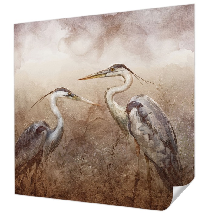 Öntapadós Tapéta Fali Dekoráció, Wallfluent, Elegáns madarak, Barna, 250 x 250 cm, Modern Dizájn, Nedvesség- És Foltálló, 010170060030000285323