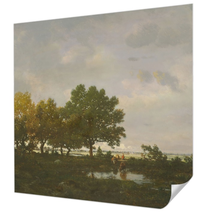 Öntapadós Dekor Tapéta, Wallfluent, Erdő táj, Szürke, 250 x 250 cm, Előszobába, Hálószobába, 010170060030000285352