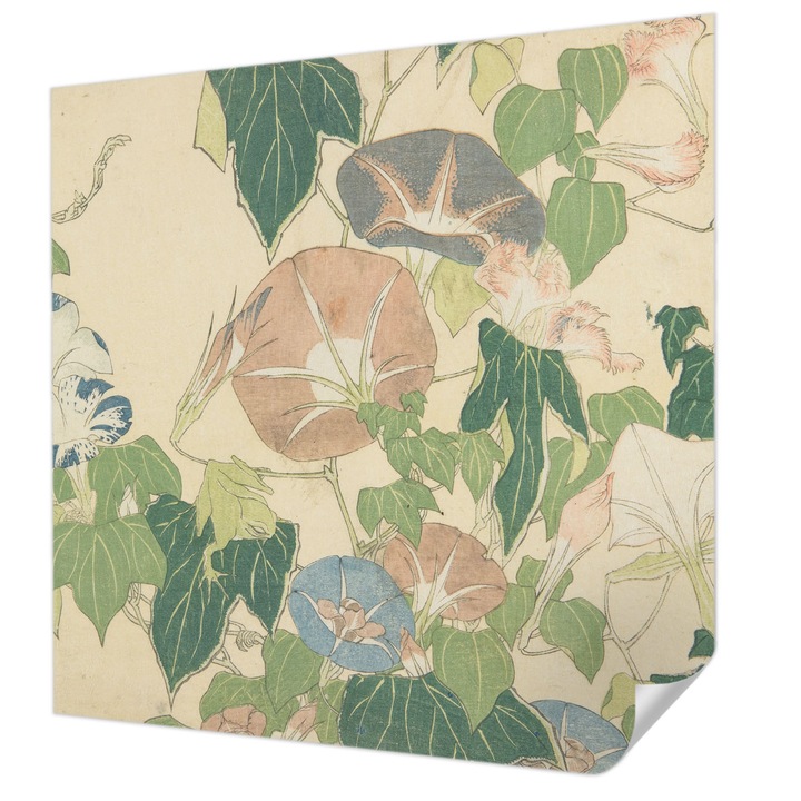 Öntapadós Fotótapéta Falra, Wallfluent, Virágos elegancia, Zöld, 250 x 250 cm, Erős Ragasztó, Modern Belsőépítészeti Dekoráció, 010170060030000285409