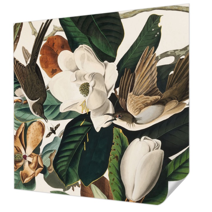 Öntapadós Dekor Tapéta, Wallfluent, Madarak magnóliák, Zöld, 250 x 250 cm, Előszobába, Hálószobába, 010170060030000285473