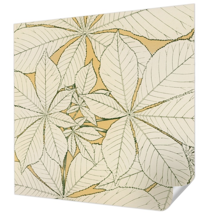 Öntapadós Tapéta Falra, Wallfluent, Gesztenye levelek, Bézs, 250 x 250 cm, Dekoráció, Klasszikus, 010170060030000285486