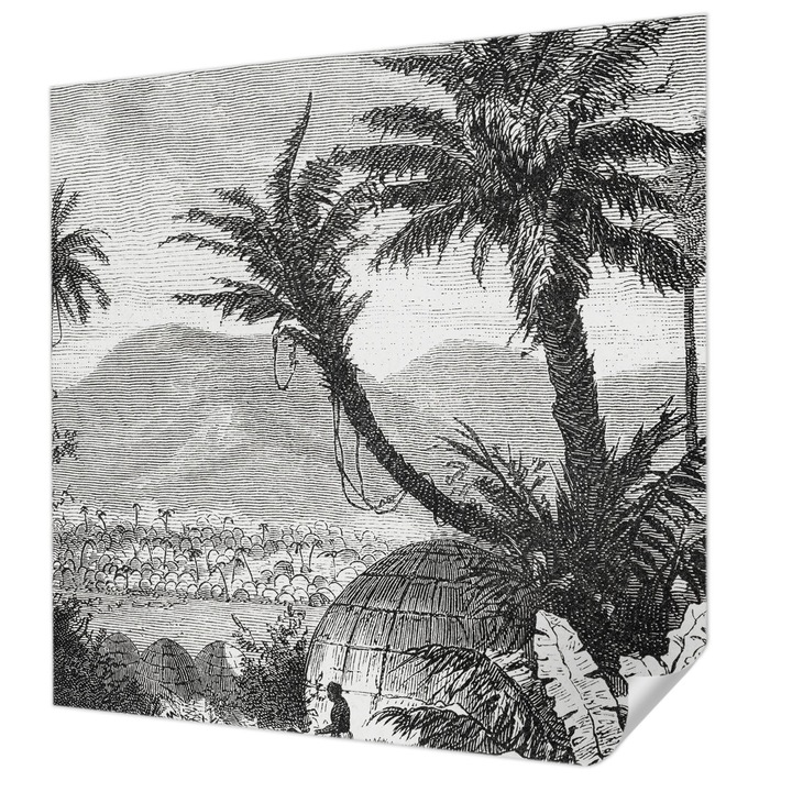 Öntapadós Fotótapéta Falra, Wallfluent, Trópusi oázis, Fekete és fehér, 250 x 250 cm, Előszobába, Hálószobába, 010170060030000285561