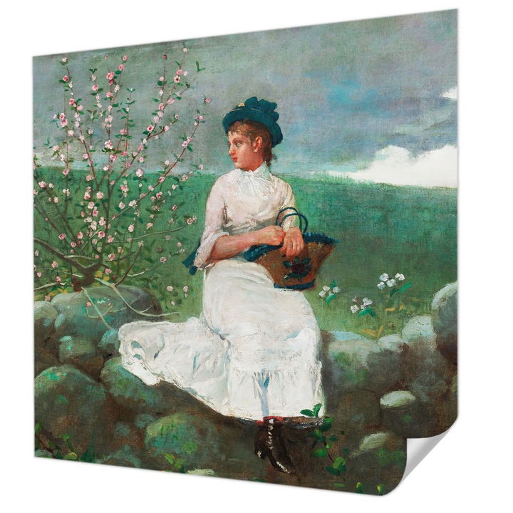 Öntapadós Fotótapéta Falra, Wallfluent, Virágos béke, Zöld, 250 x 250 cm, Modern Dizájn, Könnyen Felszerelhető És Tisztítható, 010170060030000285588