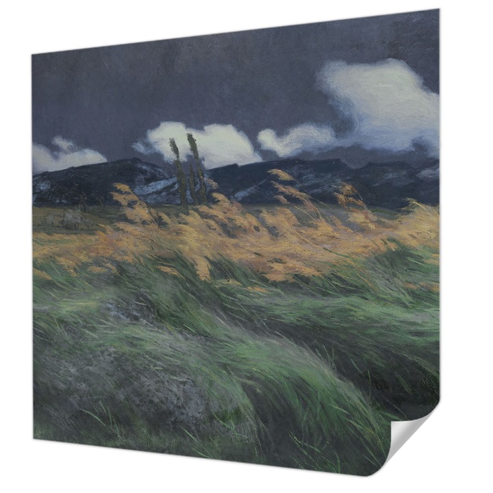 Öntapadós Tapéta Falra, Wallfluent, Fújt fű, Szürke, 250 x 250 cm, Fali Dekoráció, Nedvesség- És Foltálló, 010170060030000285616