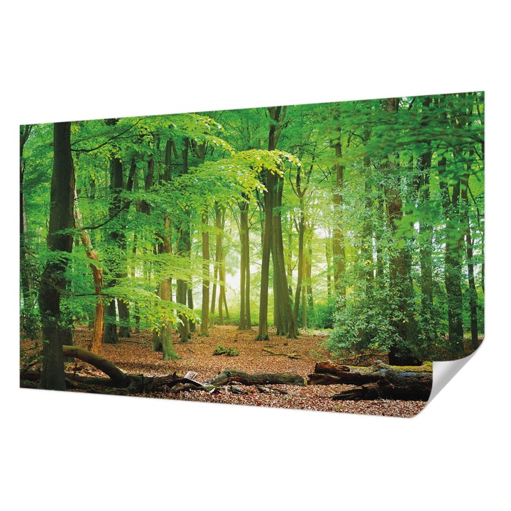 Öntapadós Dekor Tapéta, Wallfluent, Zöld erdő, Zöld, 416 x 254 cm, Könnyen Tisztítható, Nedvességálló, 010170060070000034572