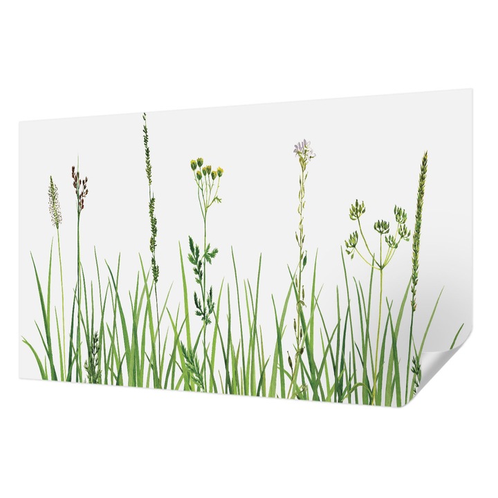 Öntapadós Dekor Tapéta, Wallfluent, Finom növényvilág, Zöld, 416 x 254 cm, Modern Dizájn, Könnyen Felszerelhető És Tisztítható, 010170060070000034953