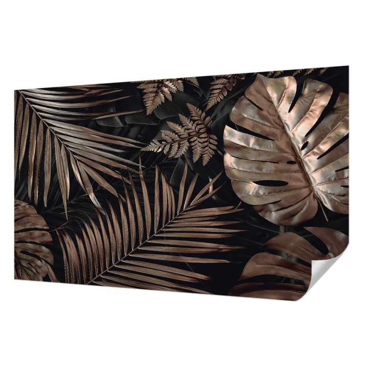 Öntapadós Fotótapéta Falra, Wallfluent, Egzotikus levelek, Fekete, 416 x 254 cm, Dekoráció, Erős Ragasztó, 010170060070000033999