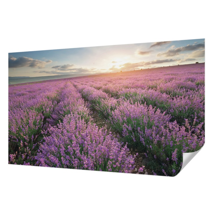 Öntapadós Fotótapéta Falra, Wallfluent, Levendula mezők, Lila, 416 x 254 cm, Nappaliba, Konyhába, 010170060070000034408