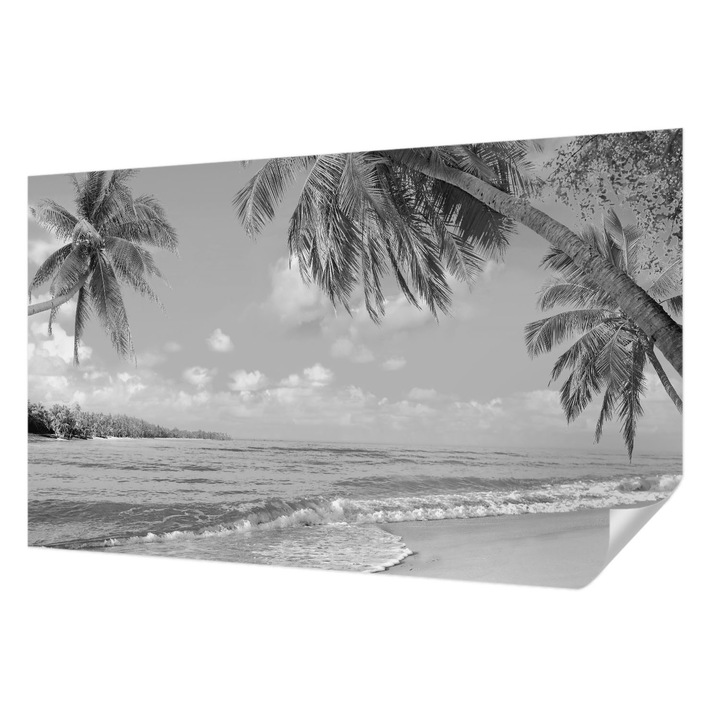 Öntapadós Dekor Tapéta, Wallfluent, Trópusi paradicsom, Fekete és fehér, 416 x 254 cm, Fali Dekoráció, Nedvesség- És Foltálló, 010170060070000034691