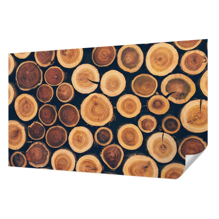 Öntapadós Fotótapéta Falra, Wallfluent, Fa körök, Barna, 416 x 254 cm, Fali Dekoráció, Nedvesség- És Foltálló, 010170060070000074617