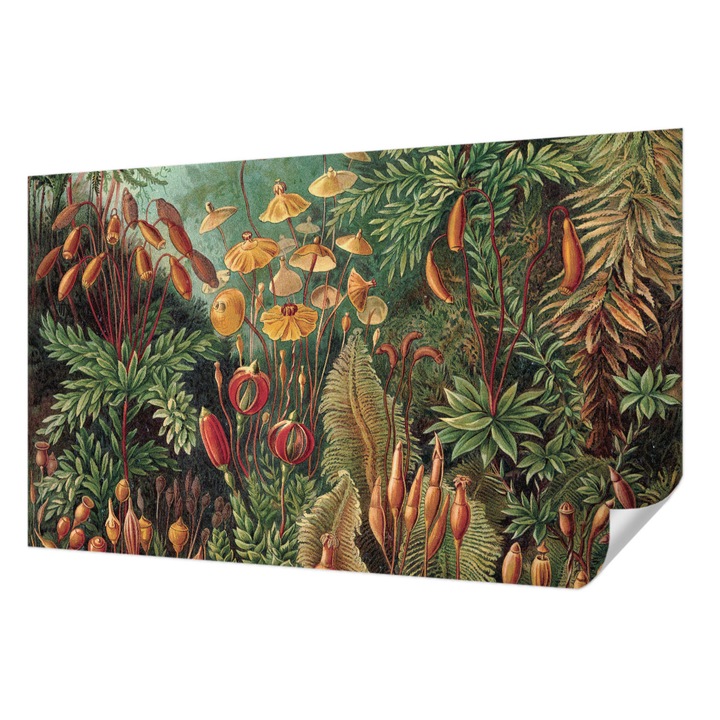 Öntapadós Tapéta Falra, Wallfluent, Egzotikus kert, Zöld, 416 x 254 cm, Előszobába, Hálószobába, 010170060070000057329