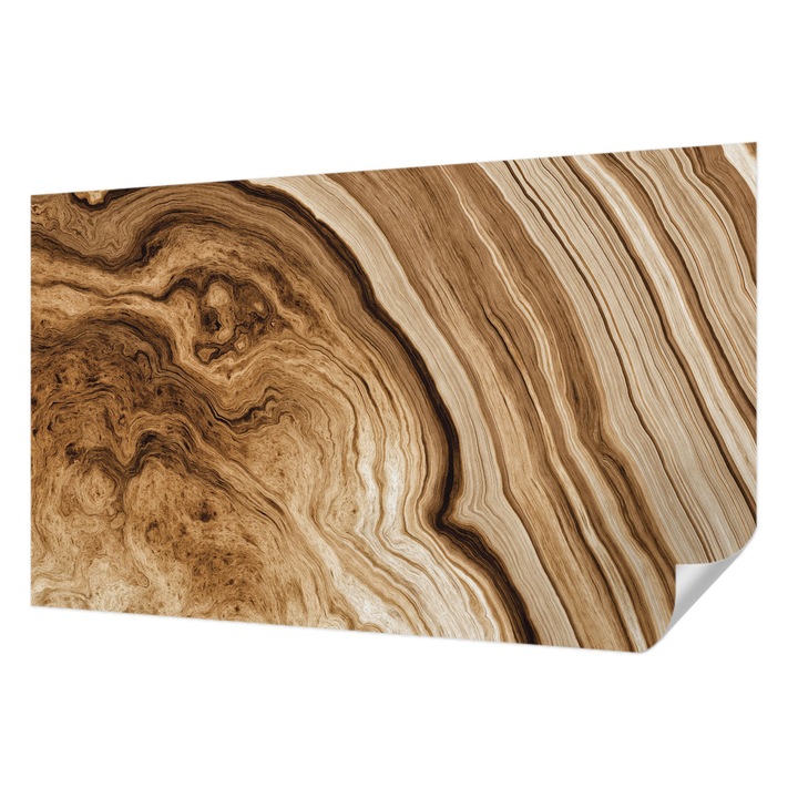 Öntapadós Tapéta Falra, Wallfluent, Faerezet, Barna, 416 x 254 cm, Dekoráció, Klasszikus, 010170060070000057133